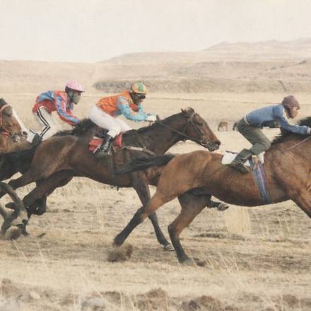 Horses at full gallop along a beach.